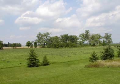 [ Site of Patrick Farrell's Murder, In the distance, across the Roman Line, is the site where James Donnelly killed Patrick Farrell.  Photograph was taken from the Donnelly homestead site. Copyright Great Unsolved Canadian Mysteries Project, Jennifer Pettit,   ]