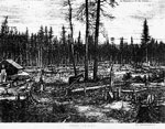 Dfrichage, 1879