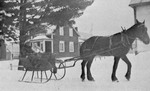 Sleigh