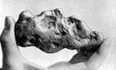 Cariboo gold nugget