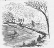 Crossing River on Felled Tree