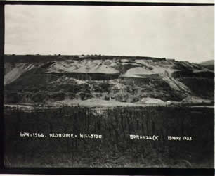 [ Hillside, Bonanza Creek ]