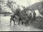 Five Prospectors Panning for Gold