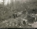 Beginning of the Chilkoot Trail in Summer