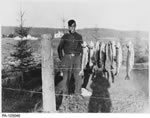 Tom Thomson