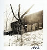 Tom Thomson studio (exterior), Toronto