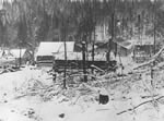 The Gilmour Company depot at Tea Lake