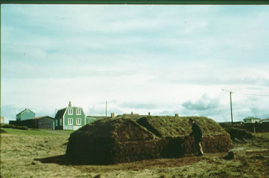 Muse en plein air d’rbr, Reykjavik